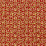 Polka Khaki On Red