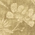 Mughal Gardens Melon and Turmeric