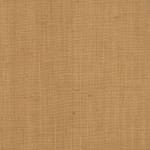 Wild Canvas Suede