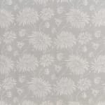 Chrysanthemum Dark Blue On Oyster