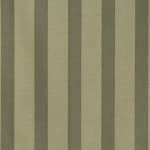 Wide Stripe Sage Green On Beige