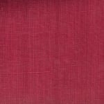 Wild Canvas Raspberry