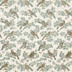 Bulbul Juniper