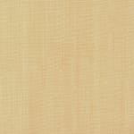 Wild Canvas Wheat