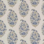 Rajpootana Cornflower