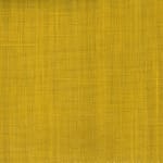 Wild Canvas Amber