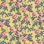 Roses Pompadour 75c