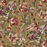 Tulipa Velvet Multi