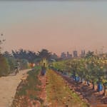 Richard Price Through the Vineyard, St Martin Oil Painting