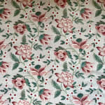 Hibiscus Cochineal