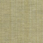 George Spencer Designs Strie Almond Green