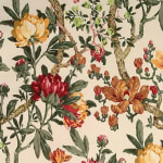 Magnolia White