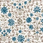 Kushi Mayan