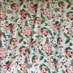 Hibiscus Cochineal