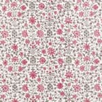 Kushi Rasberry