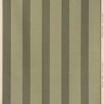 Wide Stripe Sage Green On Beige