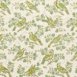 Bulbul Lemongrass