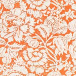 Great Floral Orange On Oyster