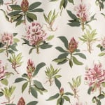 Rhododendron Sprig Pink Green