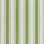 Pavillion Stripe Green On Oyster