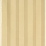 Wide Stripe Beige On Beige
