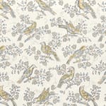 Bulbul Dove