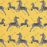 Zebras Petite Yellow