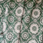 Toledo Lichen on Silk Mutka
