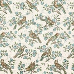 Bulbul Juniper