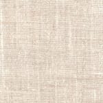 Wild Canvas Linen