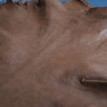 Natural Maroc Tobacco