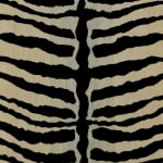 Zebra Velous Soie
