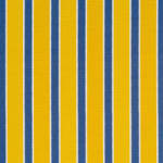 Teeth Blue Yellow On Oyster
