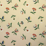 Seme Revolution Canvas Cream Multicolor
