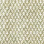 Lerio Olive