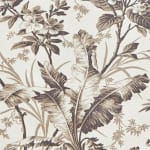 Fernbrook Graphite