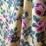 Roses Pompadour 75c