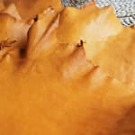 Natural Maroc Butternut