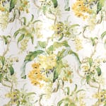 Les Orchidees Lime White