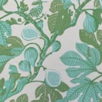 Fig Aqua
