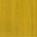 Wild Canvas Amber