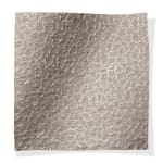 Brise Fossil