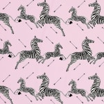 Zebras Petite Peony