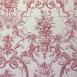 Barry Canvas Clear Red