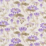 Lotus Violet On Oyster