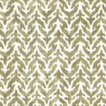Lerio Olive