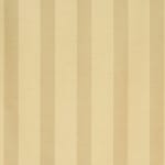 Wide Stripe Beige On Beige