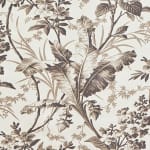 Fernbrook Graphite