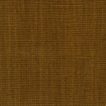 Wild Canvas Hazlenut