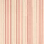 Plain Stripe Pink On Beige